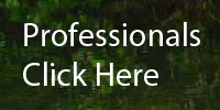 Engage with professional conduct
