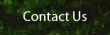 Contact Engage