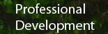 Professional Development