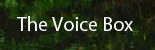 Voice Box for Recovery